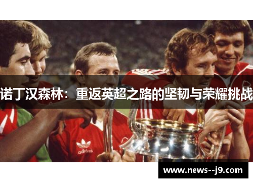 诺丁汉森林：重返英超之路的坚韧与荣耀挑战