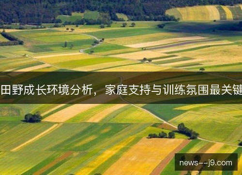 田野成长环境分析，家庭支持与训练氛围最关键